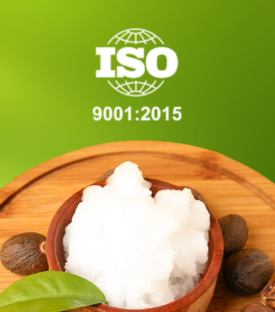<h2>Certification ISO</h2>